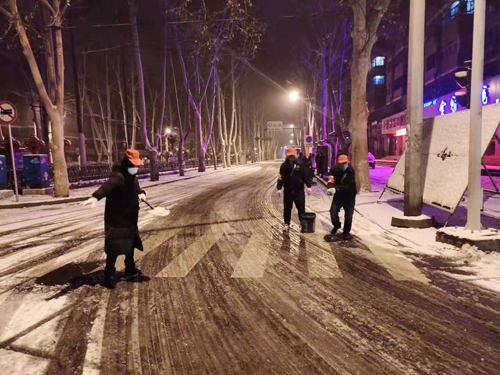 雪天里，洛陽公交人抗擊疫情的最美風景 